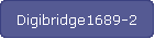 Digibridge1689-2