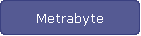 Metrabyte